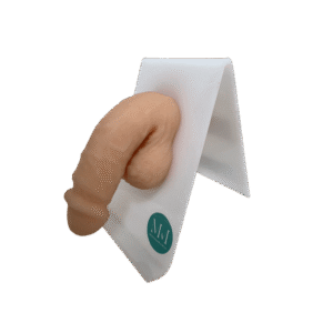 Modelo Anatômico Masculino Sem Ereção – Pênis Flácido e Móvel com Suporte