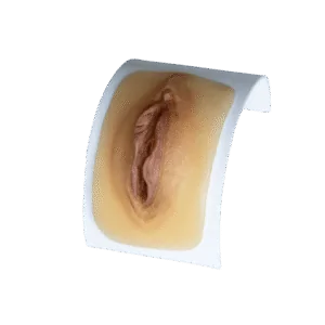 Vulva RealSkin Pro – Modelo Anatômico Premium