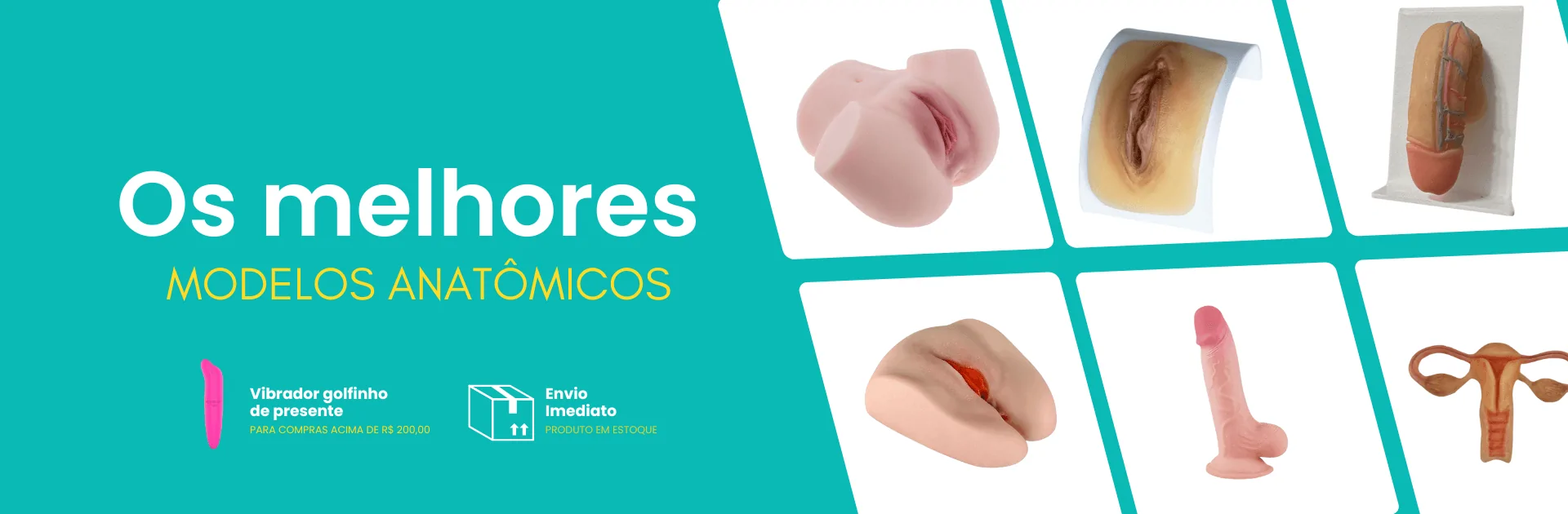 Banner Capa Modelos Anatômicos (1) Banner Capa Modelos Anatômicos (1)